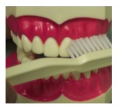 brushing-technique